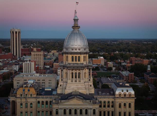 Astrologer in Illinois