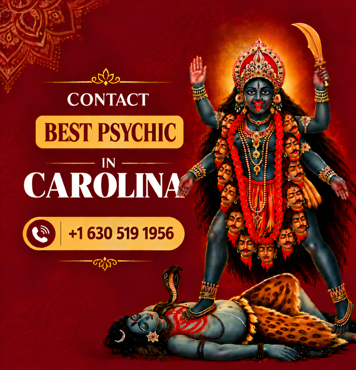 Psychic and Astrologer in South Carolina